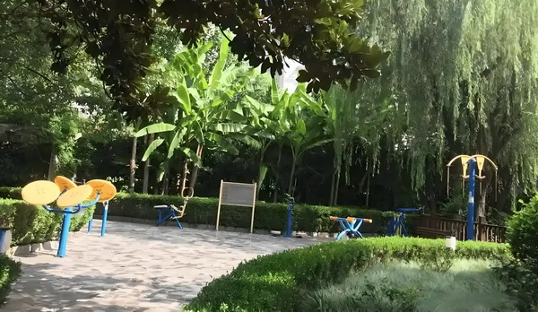 落户深圳 diy_《你行！你上！》：弹琴吧！爸爸 琴吧爸爸为7年龄最高0岁